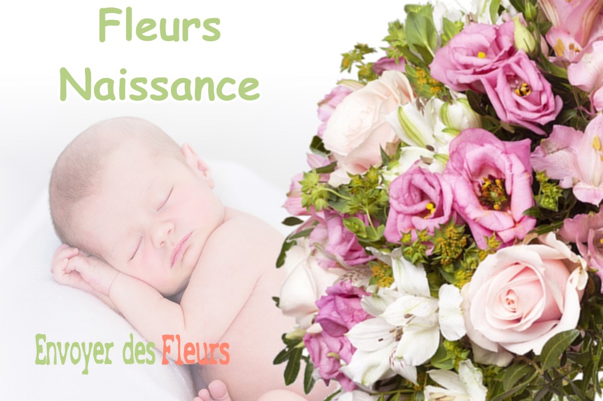 lIVRAISON FLEURS NAISSANCE à LA-TERRASSE